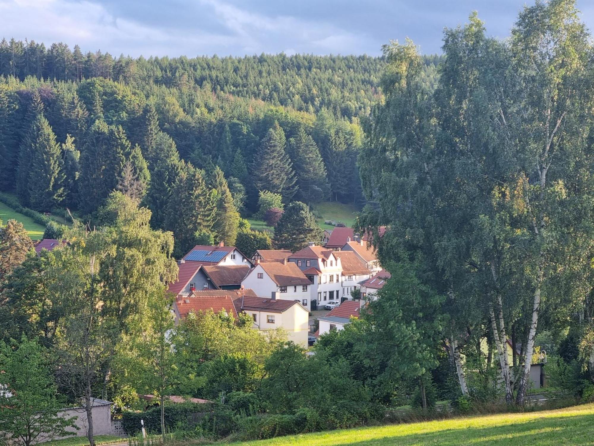 Superior - Ferienhaus Am Engelsbach Im Thueringer Wald エクステリア 写真